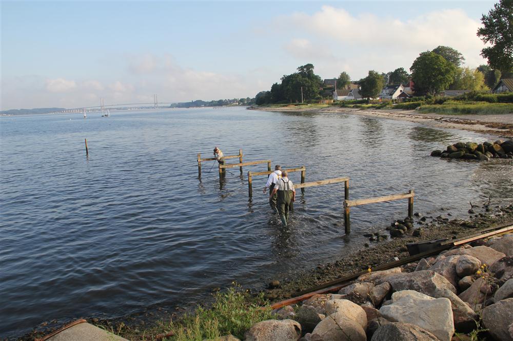 Vis 20120816 183734.jpg i fuld st�rrelse